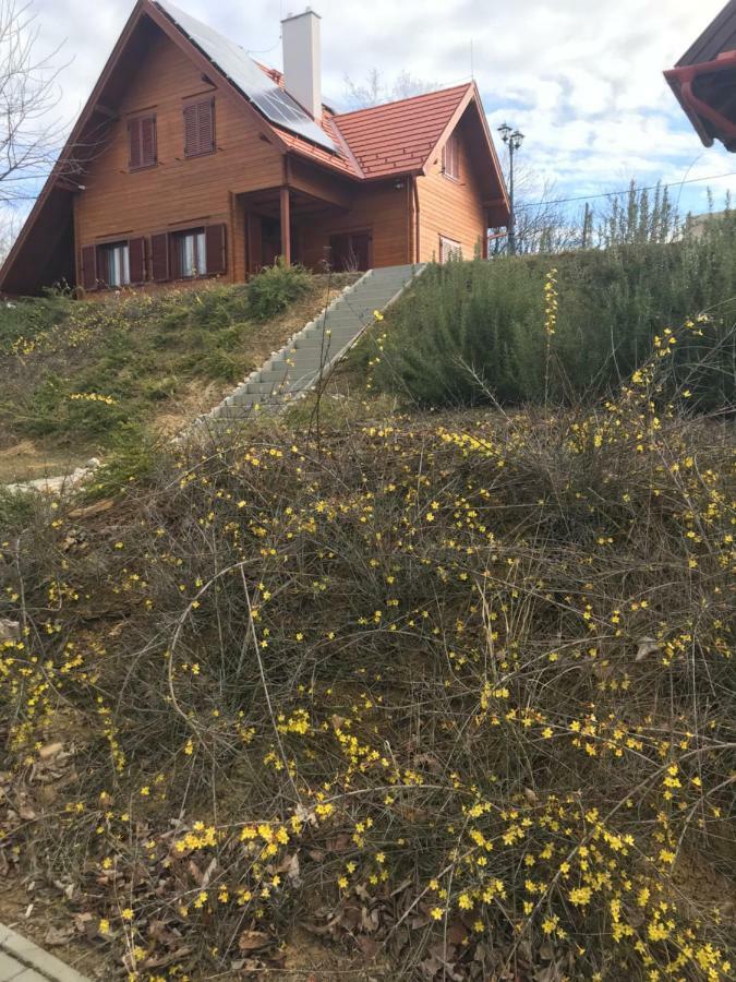 Boejti Pince Leilighet Tormafolde Eksteriør bilde